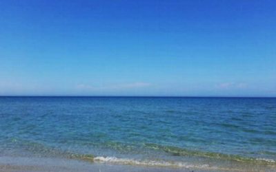 Summer 2018